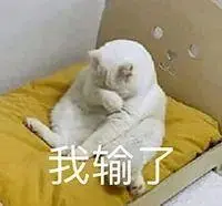 lion bola slot Li Chuyi, yang didorong oleh bebek di rak, setuju dengan enggan.